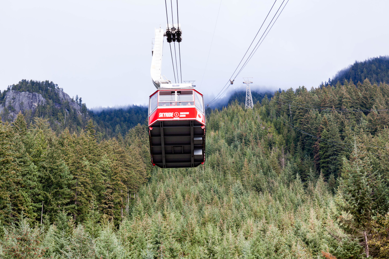 Illustration for article titled Pics from the (Mountain)side: 2016-10-10 at Grouse Mountain